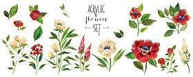 亚克力盘花卉插图。波尔多的花