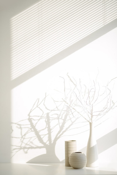 白色花瓶與分支圖片