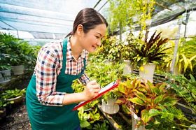 检查花的植物苗圃工人