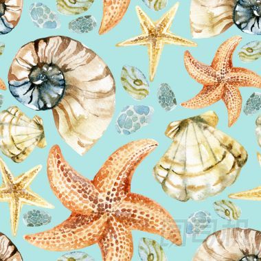 水彩貝殼模式圖片
