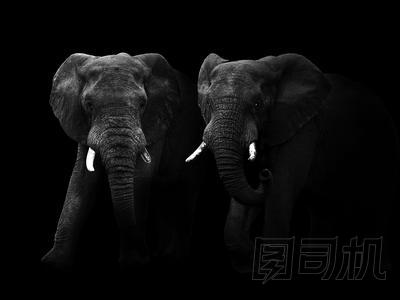 走出黑暗.圖片
