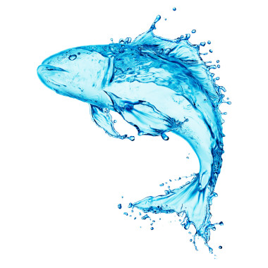 魚水花