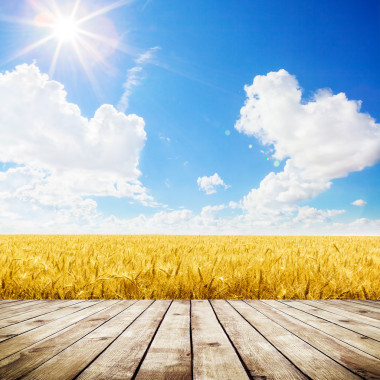 地板在黃色麥田照片