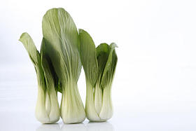 绿色白菜