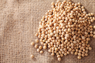 堆的大豆豆圖片