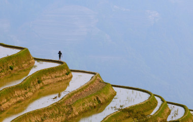 元陽縣云南，中國的水稻梯田