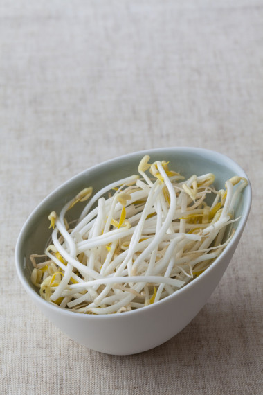 豆芽照片