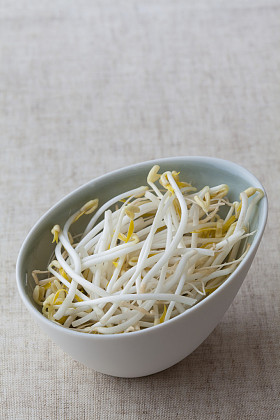 豆芽照片