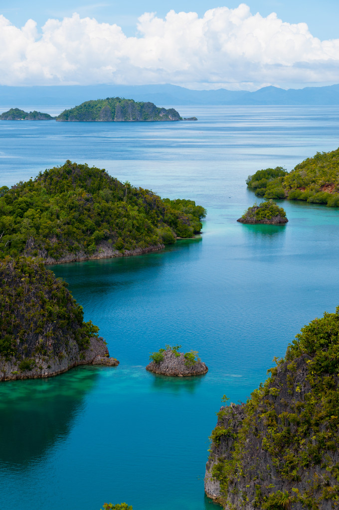 小绿色岛屿属于 Fam 岛巴布亚新几内亚 Raja Ampat 海