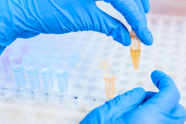 手科學家化學家 (生物學家、 醫(yī)生) 試管與板在現代實驗室