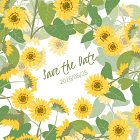 向日葵的老式背景,照片