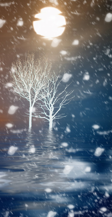 美丽的饱和的景