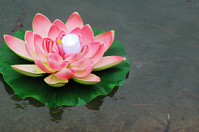 水灯，使希望图片
