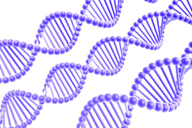 dna 螺旋