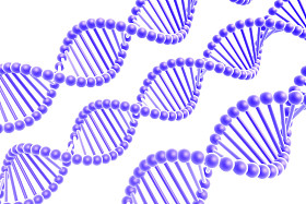 dna 螺旋