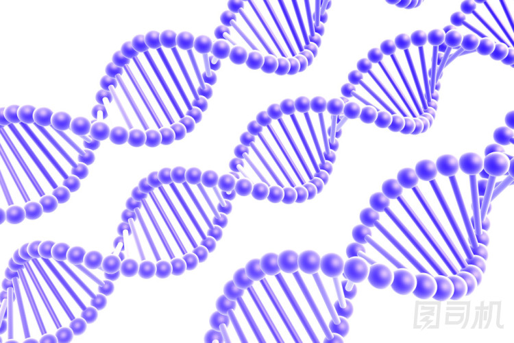 dna 螺旋