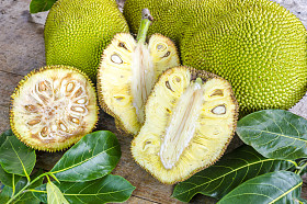 截面的巨型杰克 fruit.Tropical 水果
