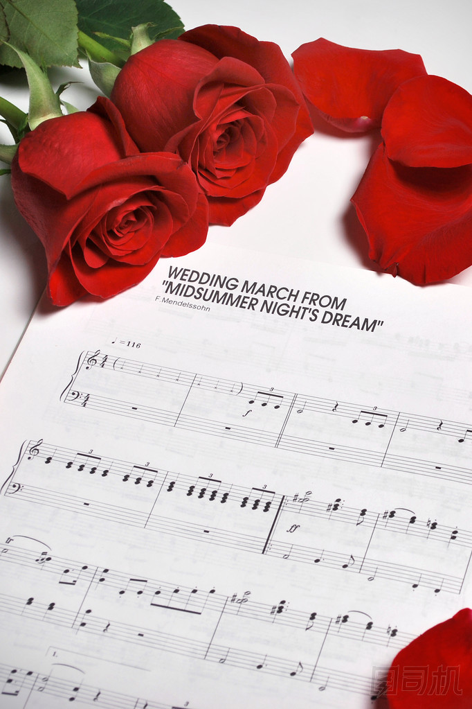 佩佩羅納塔與羅勒和黑橄欖特寫