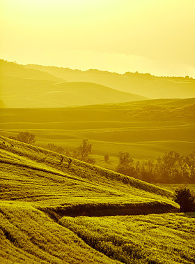 托斯卡纳丘陵自然照片