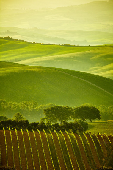 托斯卡納丘陵自然