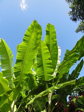 分解成混凝土