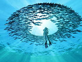 海洋之