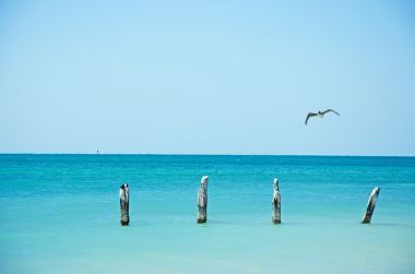 基韦斯特: 在希格斯海滩上飞行的玉米地, 沿着基韦斯特海岸线的两英里长的沙滩