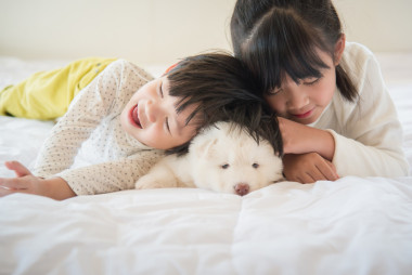 與亞洲兒童在白色的床上躺的西伯利亞哈士奇犬