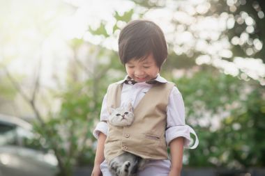 亞洲男孩控股美國短發(fā)小貓