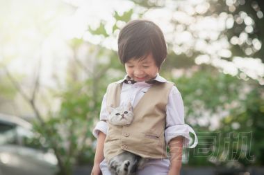 亞洲男孩控股美國短發(fā)小貓