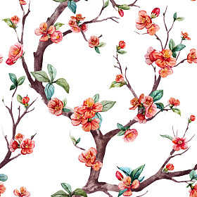 水彩矢量樱花图案图片