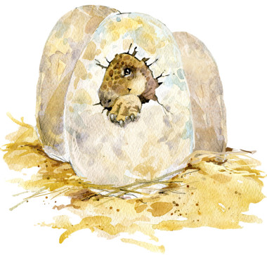 恐龙。恐龙水彩绘画。恐龙的插图