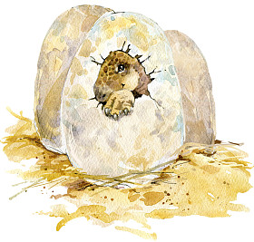 恐龙。恐龙水彩绘画。恐龙的插图