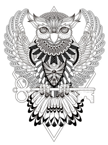 神秘的貓頭鷹彩頁(yè)照片