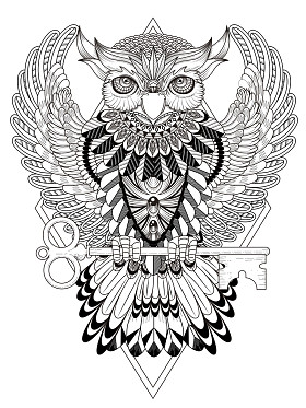 神秘的猫头鹰彩页照片