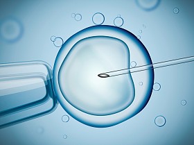 实验室的 Ivf (体外受精) 的微观研究。数码插画