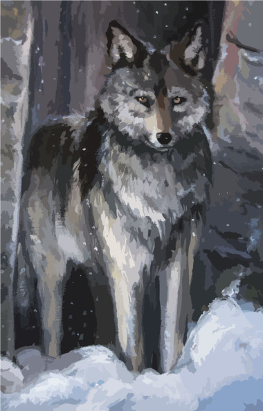 冬季的森林里的