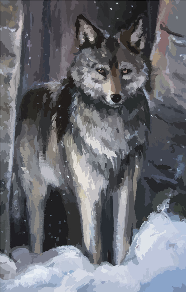 冬季的森林里的