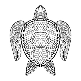 手绘的海龟为成人涂色页在涂鸦zentan