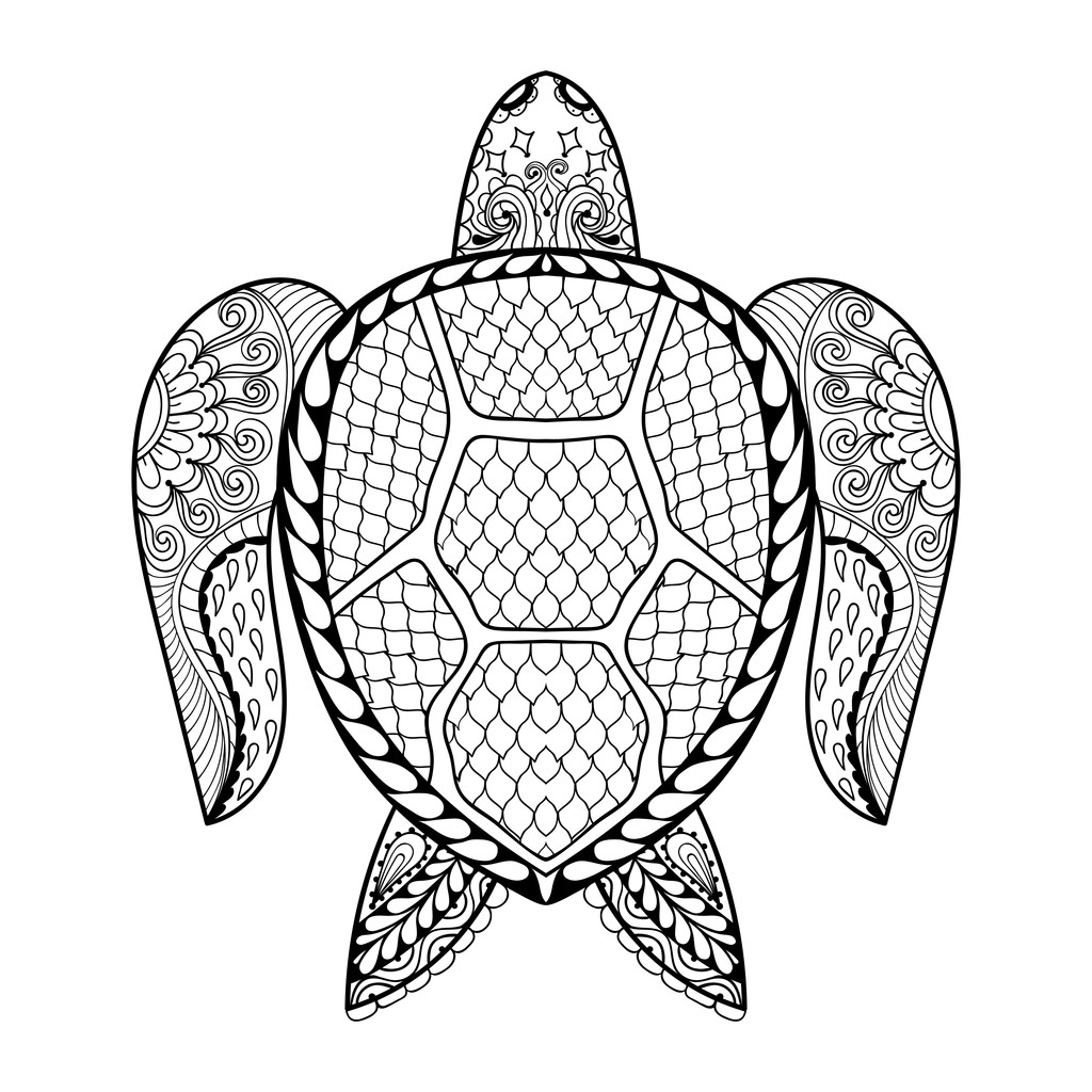 手绘的海龟为成人涂色页在涂鸦zentan 手绘的海龟为成人涂色页在涂鸦zentan