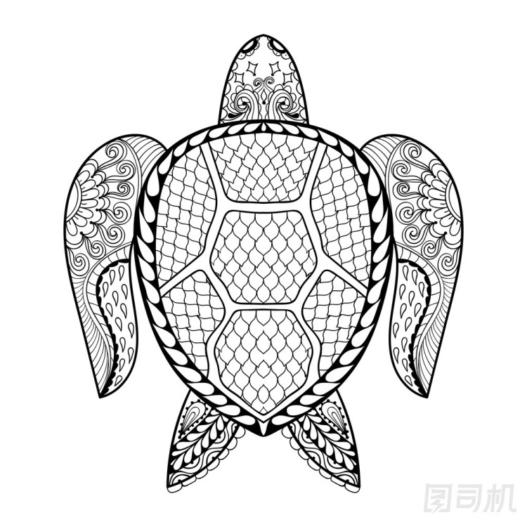 手繪的海龜為成人涂色頁(yè)在涂鴉zentan