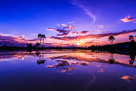 美丽的日落背景