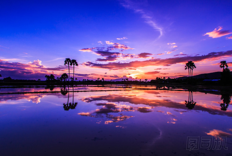美麗的日落背景