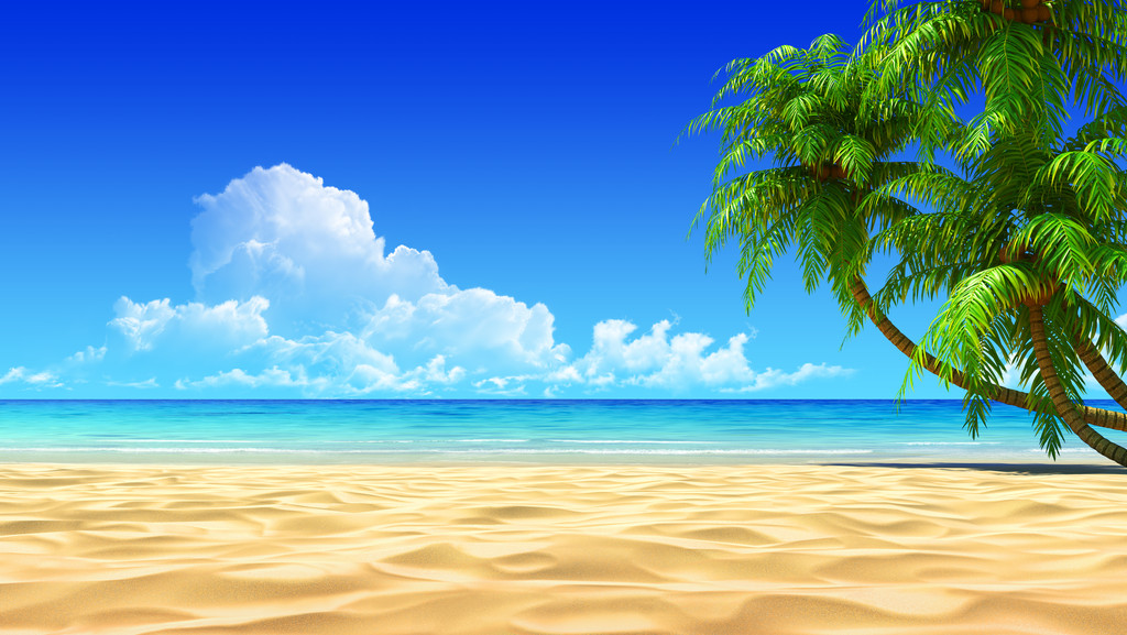 空旷的热带海滩上的棕榈树 空旷的热带海滩上的棕榈树