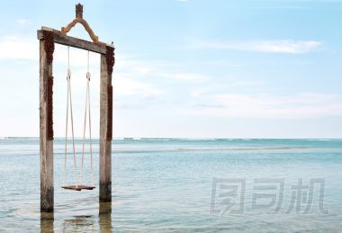 在海中搖擺圖片