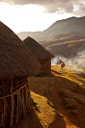 在傍晚的阳光下的房子图片