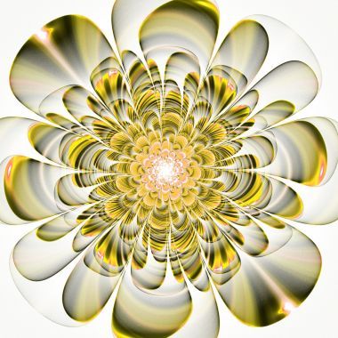 美麗的米色花白色背景上。計算機(jī)生成 g