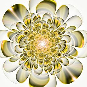 美丽的米色花白色背景上。计算机生成 g