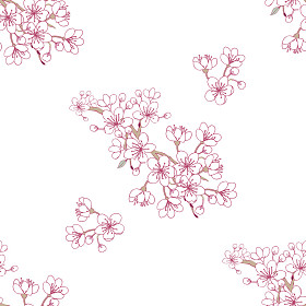 无缝模式樱花图片