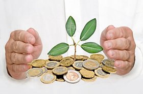 手保护从堆硬币生长的树图片